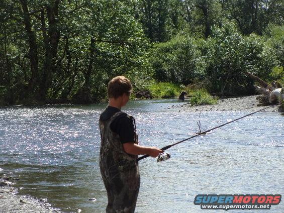 Person fishing in river with bears in background