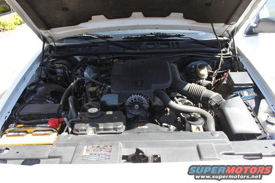 2003 Ford Crown Victoria engine bay with hood open. Shows engine, battery, and air intake