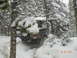 1996 Ford Bronco - A dark SUV navigates a snowy forest trail, kicking up snow as it drives.