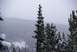 1996 Ford Bronco - A winter scene shows snow-covered pine trees in a mountainous area under a cloudy sky.