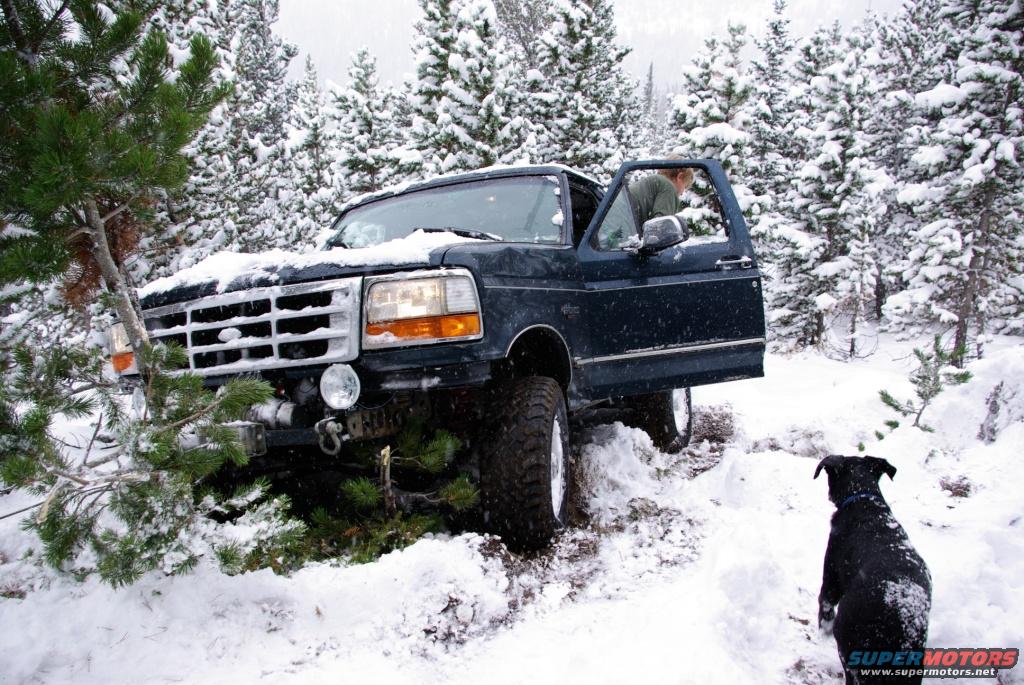 1996 Ford Bronco photo