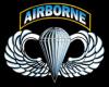 Airborne wings insignia with text 'AIRBORNE' above parachute