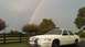 1998 Ford Crown Victoria photo