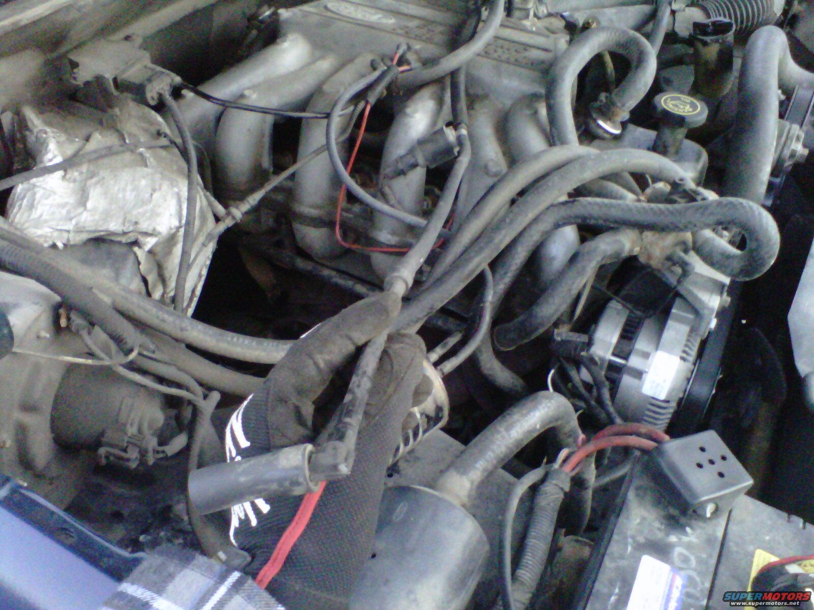 1994 Ford F-150 photo