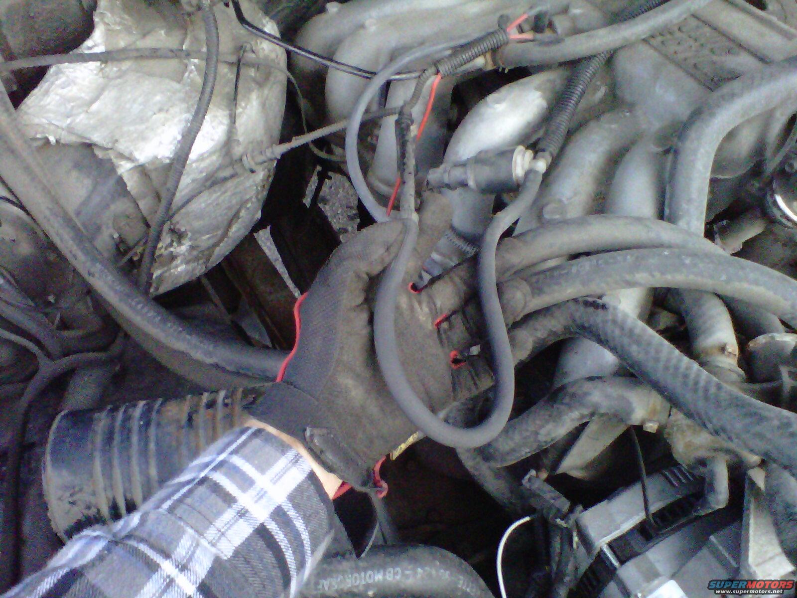 1994 Ford F-150 photo