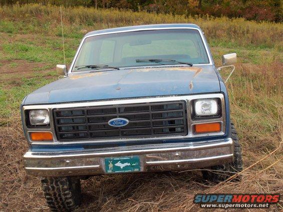 Stock Bronc