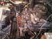 IMG00424-20100313-1744.jpg