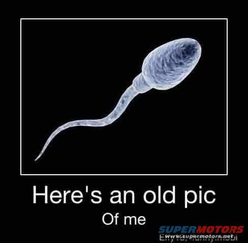 Illustration of a sperm cell with text that says 'Here's an old pic Of me'