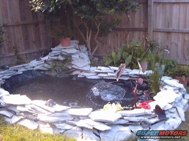 Backyard pond with rock waterfall and plants. Watermark reads SUPERMOTORS