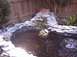 1990 Ford Bronco - A backyard pond features a multi-tiered rock waterfall and a small turtle perched on the edge.