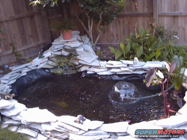Backyard pond with stacked stone waterfall, plants, and a small turtle decoration