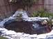 1990 Ford Bronco - A backyard pond scene a waterfall, aquatic plants, and decorative elements.