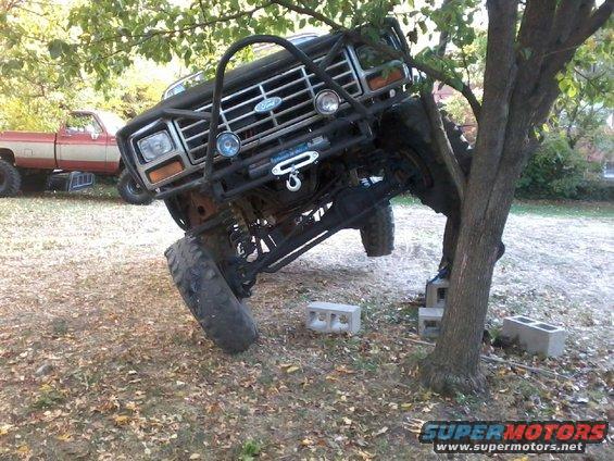 Black Ford Bronco with off-road modifications stuck in a tree, front grille visible