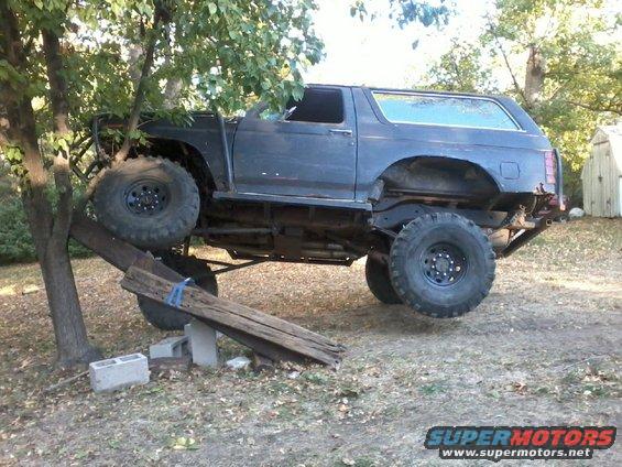 Modified Ford Bronco with large tires, partially on a wooden ramp supported by a tree and cinder blocks