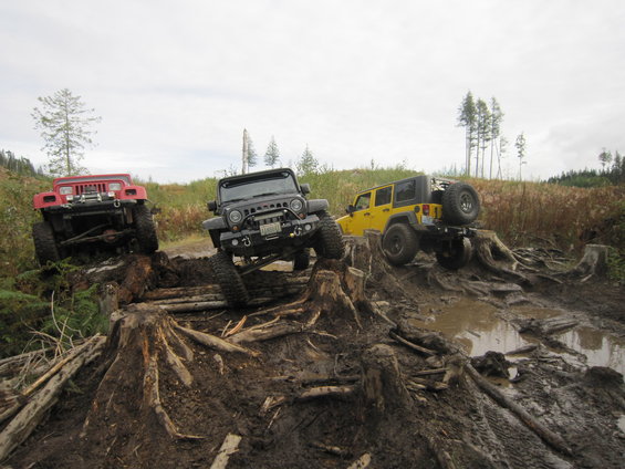 Red, black, and yellow Jeeps navigating a difficult off-road course with large tree stumps and mud