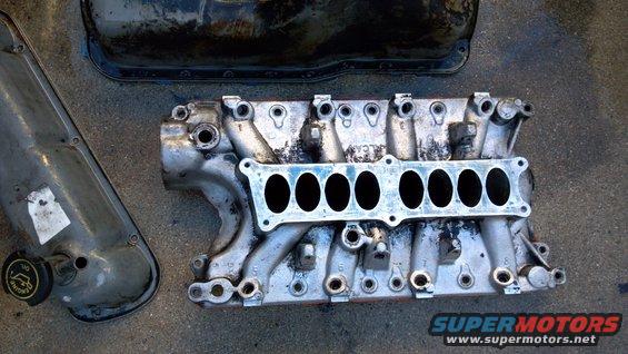 20111101_171200_917.jpg wire wheeled the gaskets off, still gotta clean it more.