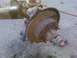 1989 Ford Bronco - This image shows a disassembled vehicle axle assembly, likely undergoing maintenance or repair.