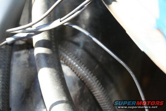 Close-up of black hoses and wiring in an engine bay, with a corrugated conduit visible
