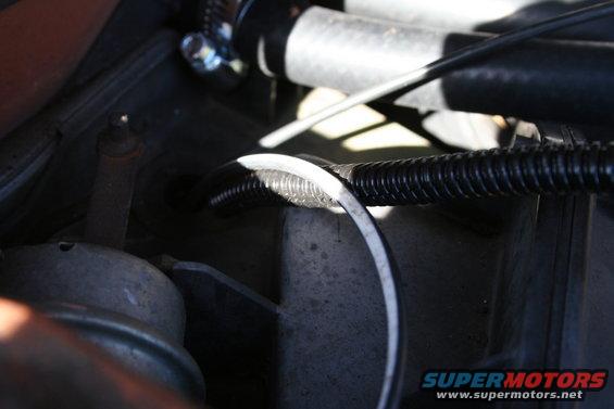 Close-up of corrugated plastic loom covering wires in an engine bay