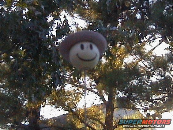 sombrero bob is a BALLER!