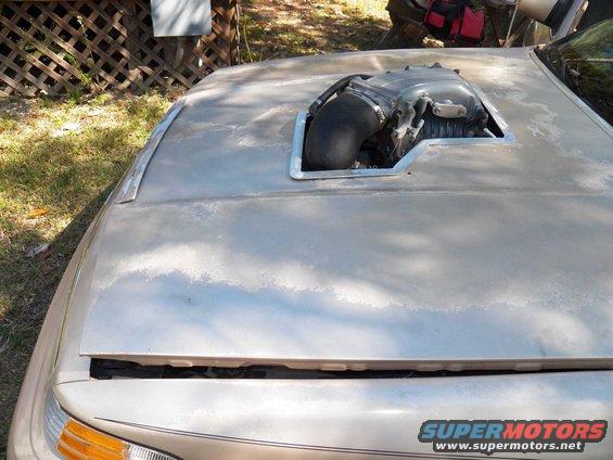 car hood with a large engine intake cut into it, showing some wear