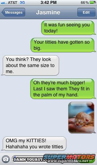 Text message conversation with a kitten photo, showing text bubbles and a small kitten in a hand