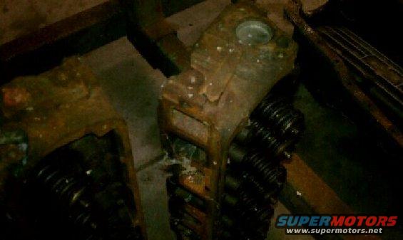 gt40-head.jpg gt40's ?