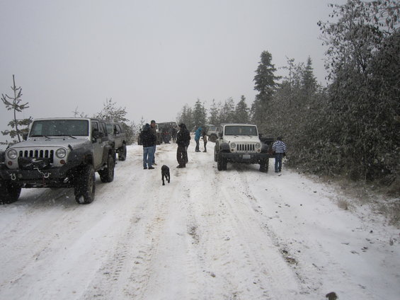 Several Jeep Wranglers parked on a snow-covered road with people standing around