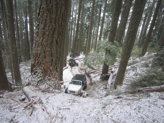 Several Jeeps driving down a muddy, snowy trail in a dense forest