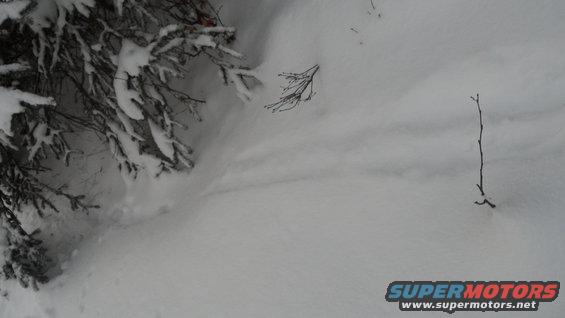 Snowy landscape with branches and a watermark