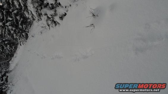Snowy landscape with trees and a Supermotors watermark