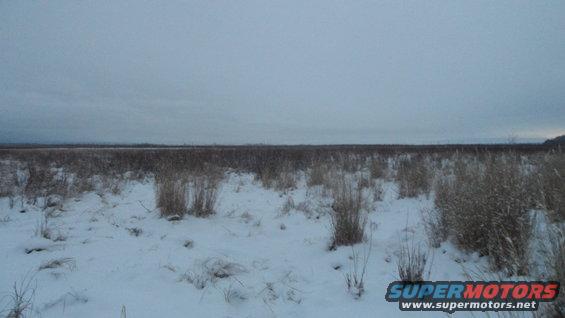 Snowy field with dry grass under an overcast sky