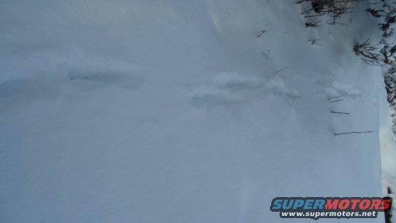 Snowy ground with tire tracks and a Supermotors.net watermark
