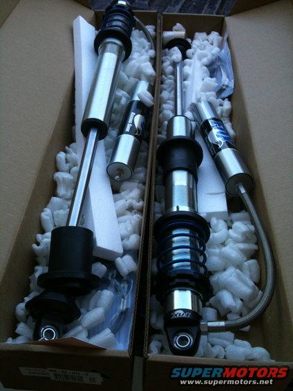 Two new shock absorbers in boxes, one with blue springs and a Fox logo