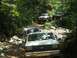 1989 Ford Bronco - Multiple trucks navigate a challenging rocky trail through a wooded area.