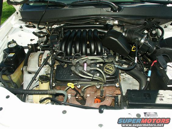 my-engine.jpg 