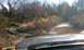 1992 Ford Bronco - Driving through a muddy trail in a wooded area.