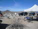 1986 Ford Bronco - A desert campsite scene with two Ford Broncos under a canopy, set against a backdrop of arid hills and a clear blue sky.