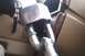 IMAG_0029.jpg
