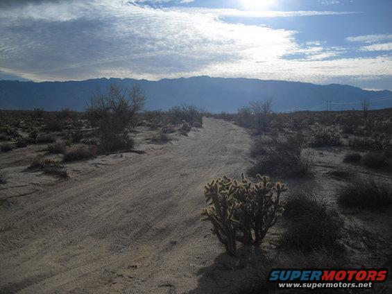 Desert landscape with a dirt road leading towards mountains under a cloudy sky. Cacti are visible