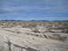 1986 Ford Bronco - Tire tracks mark the sandy terrain of a desert landscape under a vast, cloudy sky.