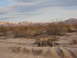 1986 Ford Bronco - Desert scene with mountains in the background and scrub brush in the foreground. Tire tracks are visible.