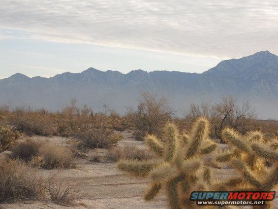 Desert scene with mountains in background and cholla cactus in foreground. Supermotors logo in lower right