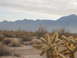 1986 Ford Bronco - A desert landscape with mountains in the distance and a cholla cactus in the foreground. The Supermotors logo is visible.
