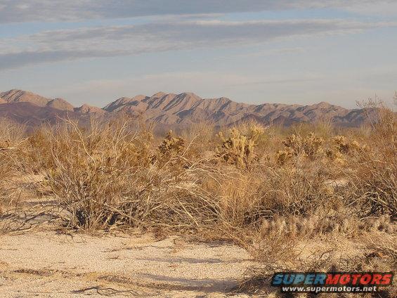 Desert landscape with dry brush, cacti, and mountains under a cloudy sky