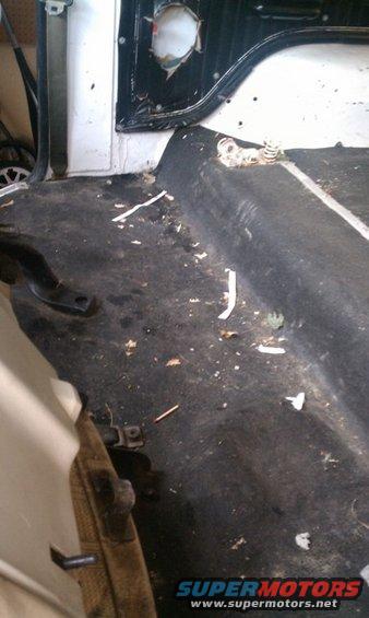 Interior floor and door panel of a vehicle