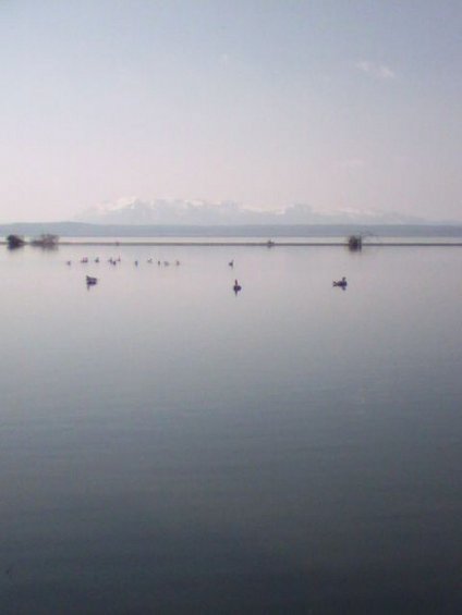 p_00254.jpg 