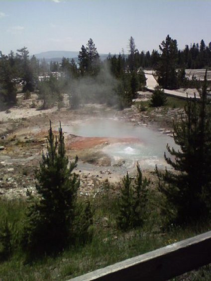 Geothermal pool emitting steam, surrounded by pine trees and a wooden boardwalk