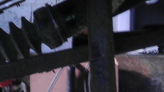 imag0666.jpg full droop reference picture