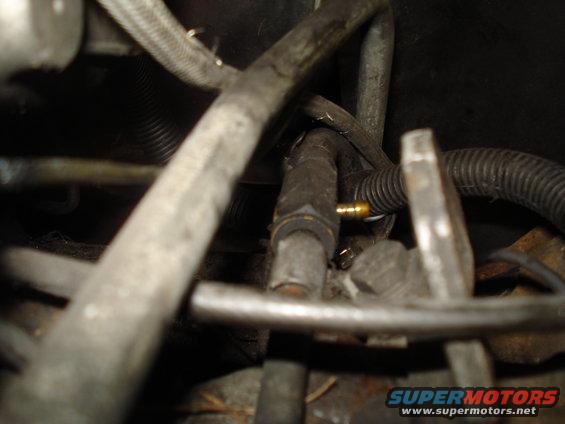 Engine compartment with metal and rubber hoses, some with ribbed protective sleeves. A brass fitting is visible